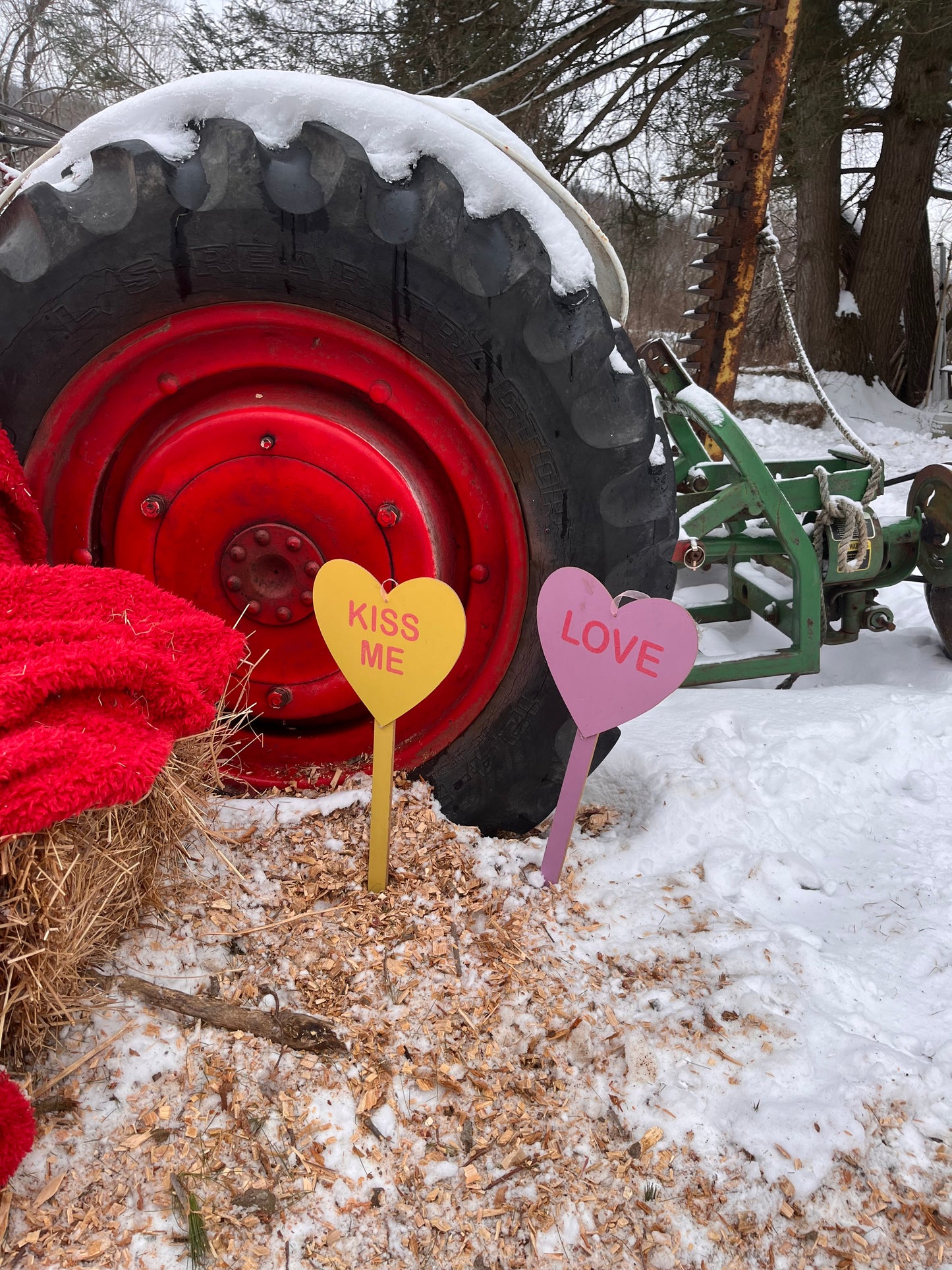 Valentines Day Horse Back Rides