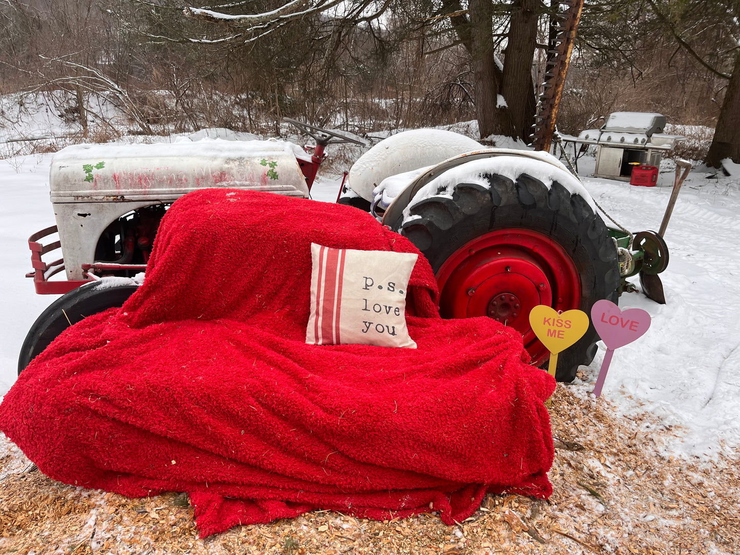 Valentines Day Horse Back Rides