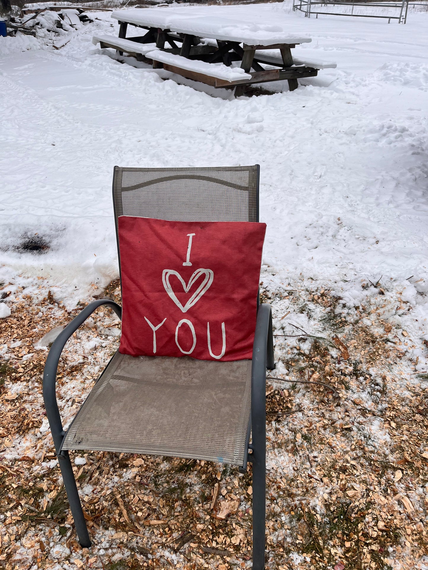 Valentines Day Horse Back Rides