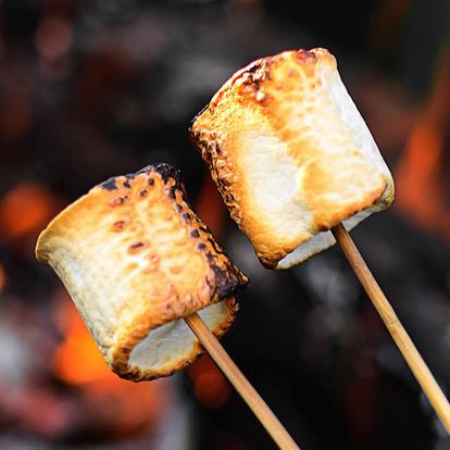 Valentines Day Horse Back Rides